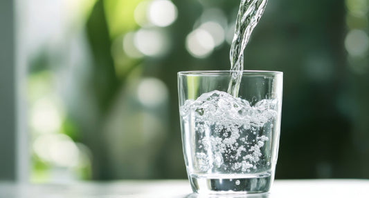 Blended diets and hydration