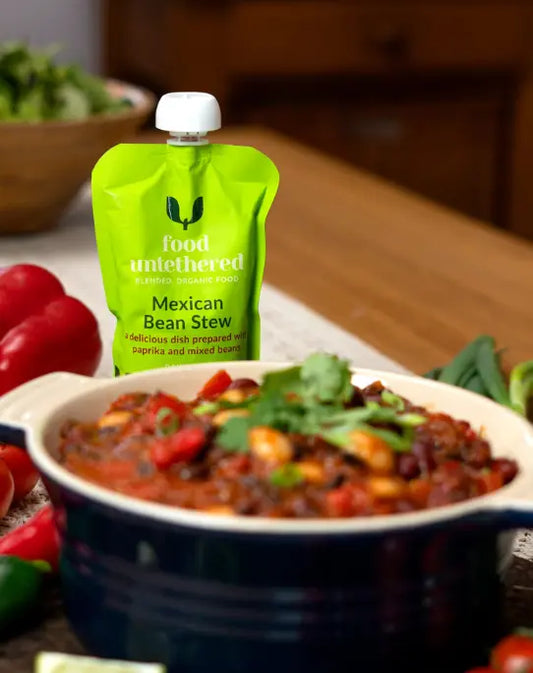 Mexican Bean Stew organic blended tube food - spiced, protein-rich alternative to commercial formulas like Compleat or Liquid Hope
